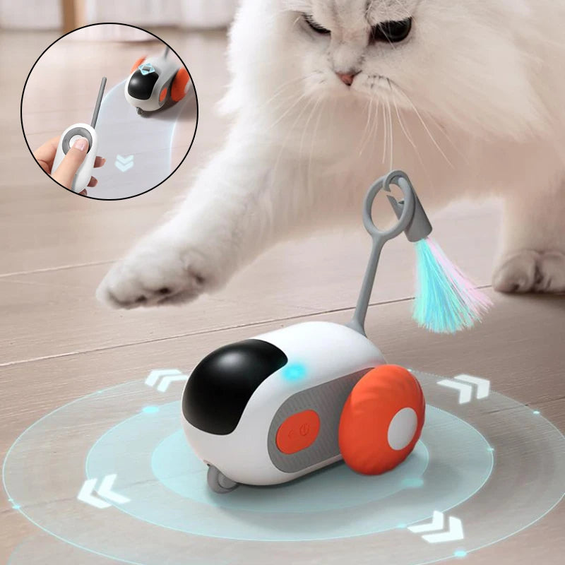 kept. The Chase remote control cat car toy