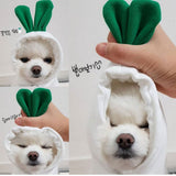 kept. The Fruit Hoodie — Fleece Hoodie for Small Dogs