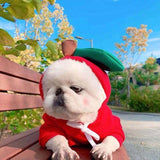 kept. The Fruit Hoodie — Fleece Hoodie for Small Dogs