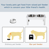 Small dog eating at raised feeding station