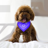 kept. The Kerchief — Bandana Scarf on a Leather Collar (Dogs & Cats)