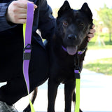 Honeycomb embossed two-tone dog leash