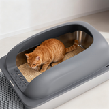 kept. The Steel Box — Stainless Steel Litter Box with Lid (Cats)