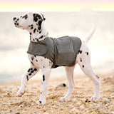 kept. The Hug Vest — Calming Compression Jacket (Dogs)