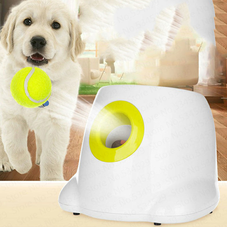 kept. The Fetch automatic ball launcher for dogs