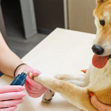 kept. The Grinder — Quiet 2-Speed USB Nail Grinder (Dogs & Cats)
