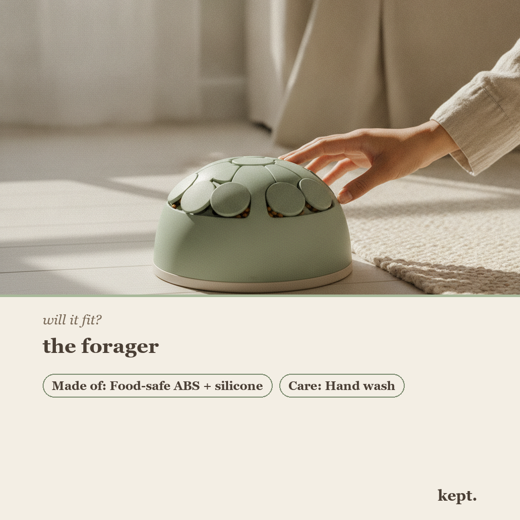 kept. forager toy dimension card