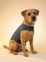 kept. The Hug Vest — Calming Compression Jacket (Dogs)