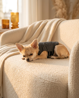 kept. The Hug Vest — Calming Compression Jacket (Dogs)