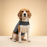 kept. The Hug Vest — Calming Compression Jacket (Dogs)