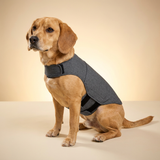 kept. The Hug Vest — Calming Compression Jacket (Dogs)