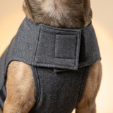 kept. The Hug Vest — Calming Compression Jacket (Dogs)