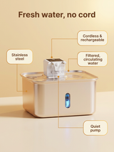 kept. The Brook — Cordless Stainless-Steel Pet Fountain (Cats & Dogs)