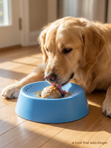 kept. The Broth Bowl — Spherical Lick Bowl for Bone Broth & Yogurt (Dogs & Cats)