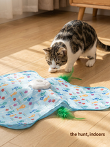 kept. The Play Mat— Automatic Feather Hunt Mat (Cats)