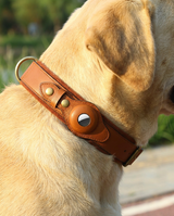 kept. The Field Collar — Top-Grain Leather Collar with Tracker Pocket (Dogs)