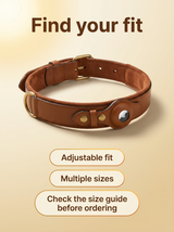 kept. The Field Collar — Top-Grain Leather Collar with Tracker Pocket (Dogs)