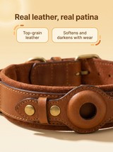 kept. The Field Collar — Top-Grain Leather Collar with Tracker Pocket (Dogs)