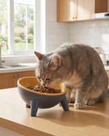 kept. The Stand — Raised Tilted Feeding Bowl (Dogs & Cats)