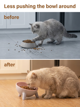 kept. The Stand — Raised Tilted Feeding Bowl (Dogs & Cats)