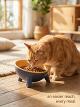 kept. The Stand — Raised Tilted Feeding Bowl (Dogs & Cats)