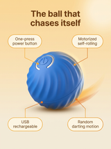 The Roll features: motorized self-rolling, USB rechargeable, one-press button, random darting motion