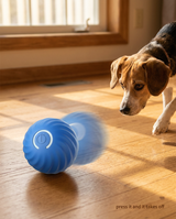 The Roll rolling across the floor as a dog chases it