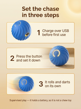 How to use The Roll: charge, press, it rolls on its own; supervised play, not a chew toy