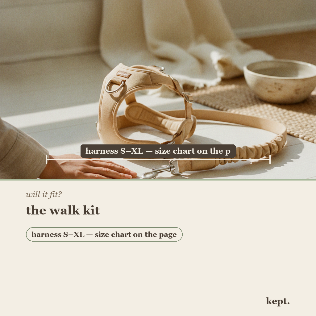 kept. walk kit dimension card