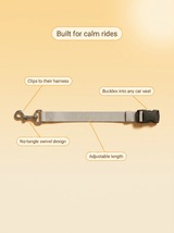 kept DORF feature callouts